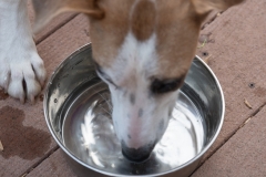 Target drinking water