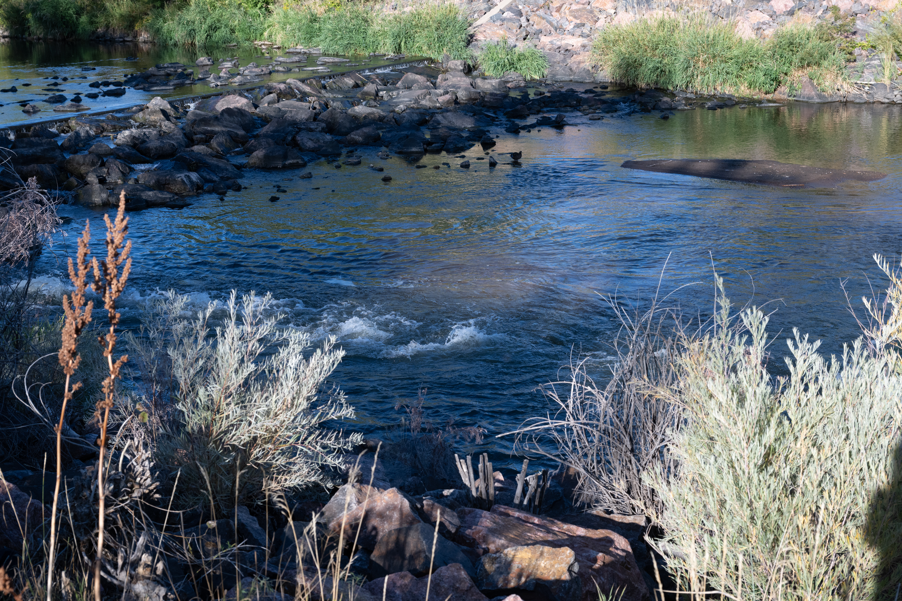 equivalent exposures